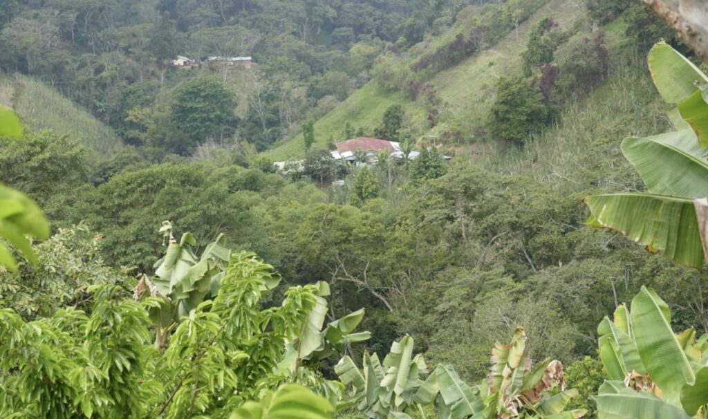 Palmor, Ciénaga, Magdalena. IDHUM_WAMD-2019. 